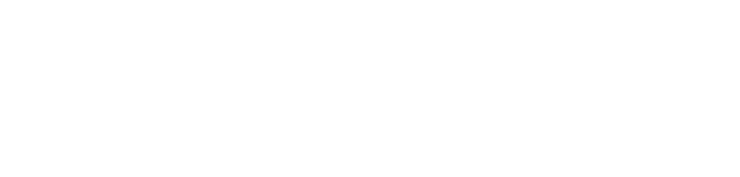 ícone 1