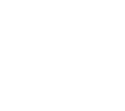 ícone 1