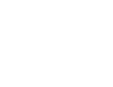 ícone 1