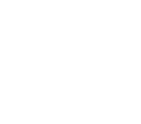 ícone 1