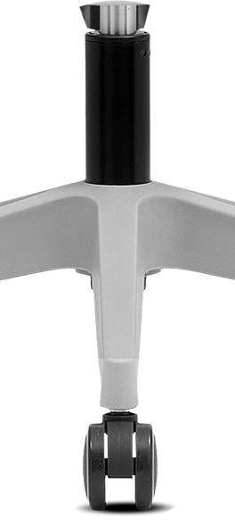 Detalhe Oval 3