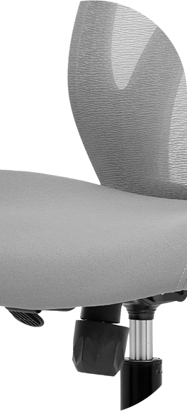 Detalhe Oval 4
