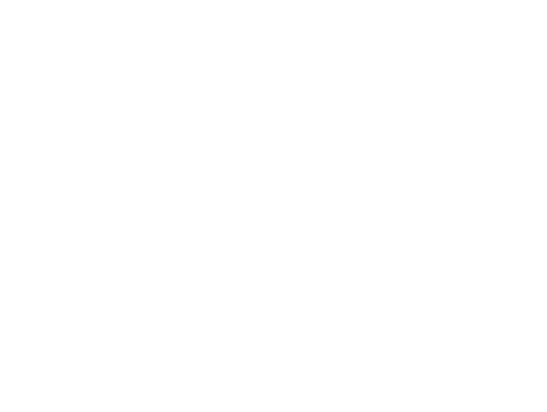 Logo da Zinnia