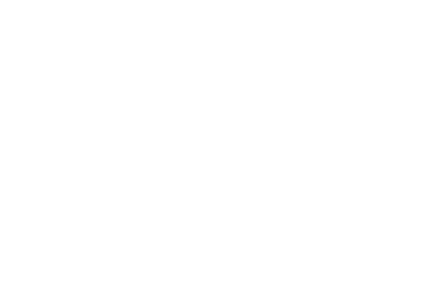 Logo da zinnia