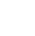 ícone 3