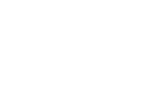 Logo cadeira zinnia