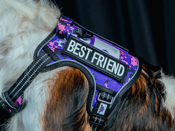 Peitoral best friend