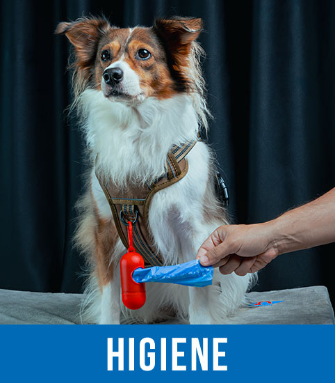Produtos Lopetudos para a higiene pessoal do seu pet