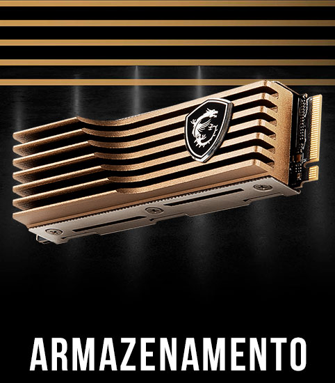 Armazenamento da MSI